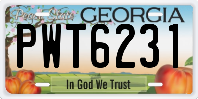 GA license plate PWT6231