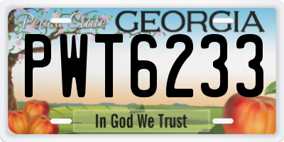 GA license plate PWT6233