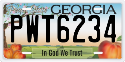 GA license plate PWT6234