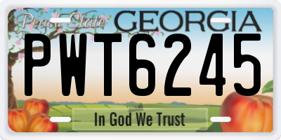 GA license plate PWT6245