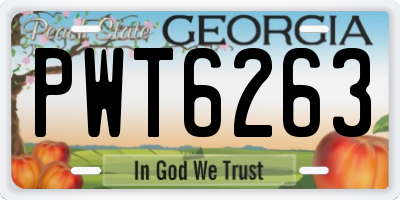 GA license plate PWT6263