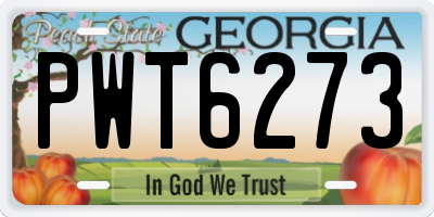 GA license plate PWT6273