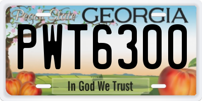 GA license plate PWT6300