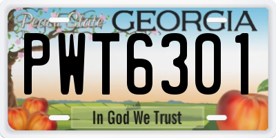 GA license plate PWT6301