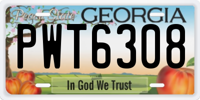 GA license plate PWT6308