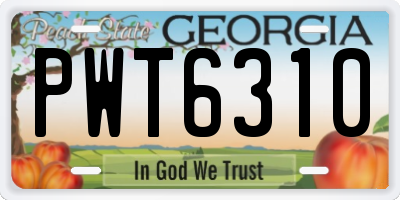 GA license plate PWT6310