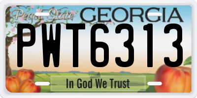 GA license plate PWT6313