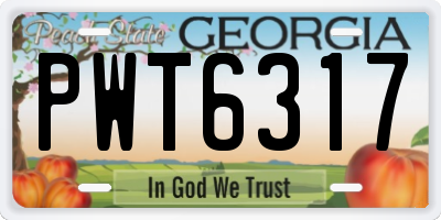 GA license plate PWT6317