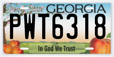GA license plate PWT6318