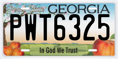GA license plate PWT6325