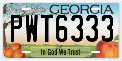 GA license plate PWT6333