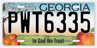 GA license plate PWT6335