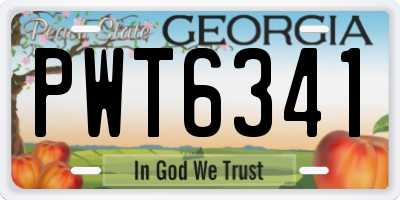 GA license plate PWT6341