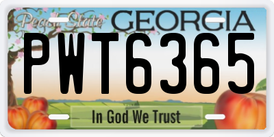GA license plate PWT6365