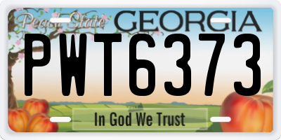 GA license plate PWT6373
