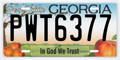GA license plate PWT6377