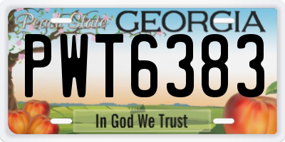 GA license plate PWT6383