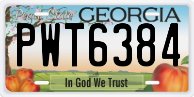 GA license plate PWT6384