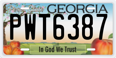 GA license plate PWT6387