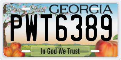 GA license plate PWT6389