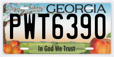 GA license plate PWT6390