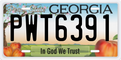 GA license plate PWT6391