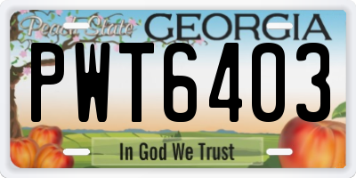 GA license plate PWT6403