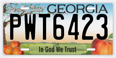 GA license plate PWT6423
