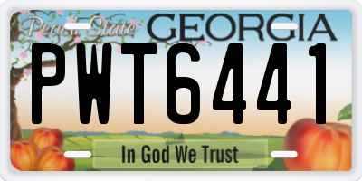 GA license plate PWT6441