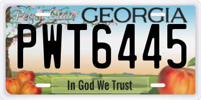 GA license plate PWT6445