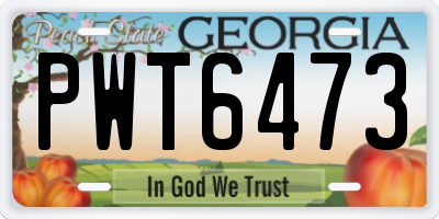 GA license plate PWT6473