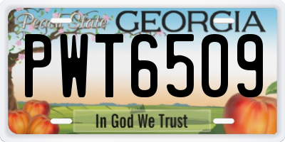GA license plate PWT6509