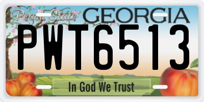 GA license plate PWT6513