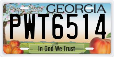 GA license plate PWT6514