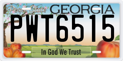 GA license plate PWT6515