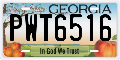 GA license plate PWT6516
