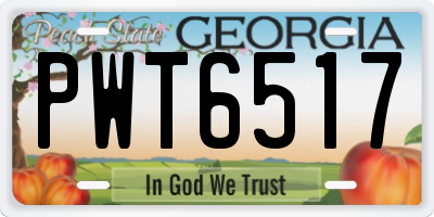 GA license plate PWT6517