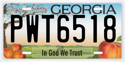 GA license plate PWT6518