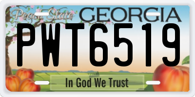 GA license plate PWT6519