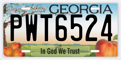 GA license plate PWT6524