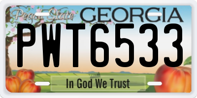 GA license plate PWT6533