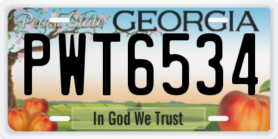 GA license plate PWT6534