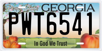 GA license plate PWT6541
