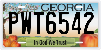 GA license plate PWT6542