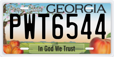 GA license plate PWT6544