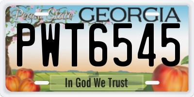 GA license plate PWT6545