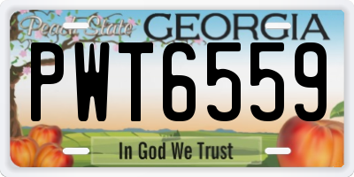 GA license plate PWT6559