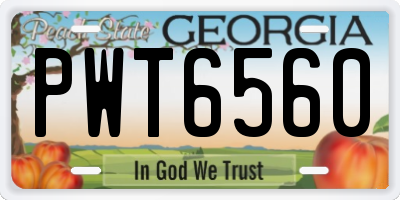 GA license plate PWT6560