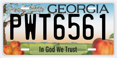 GA license plate PWT6561