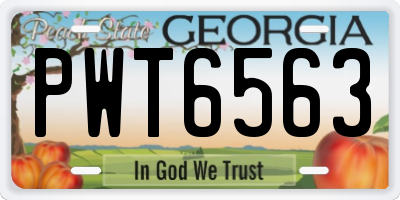 GA license plate PWT6563